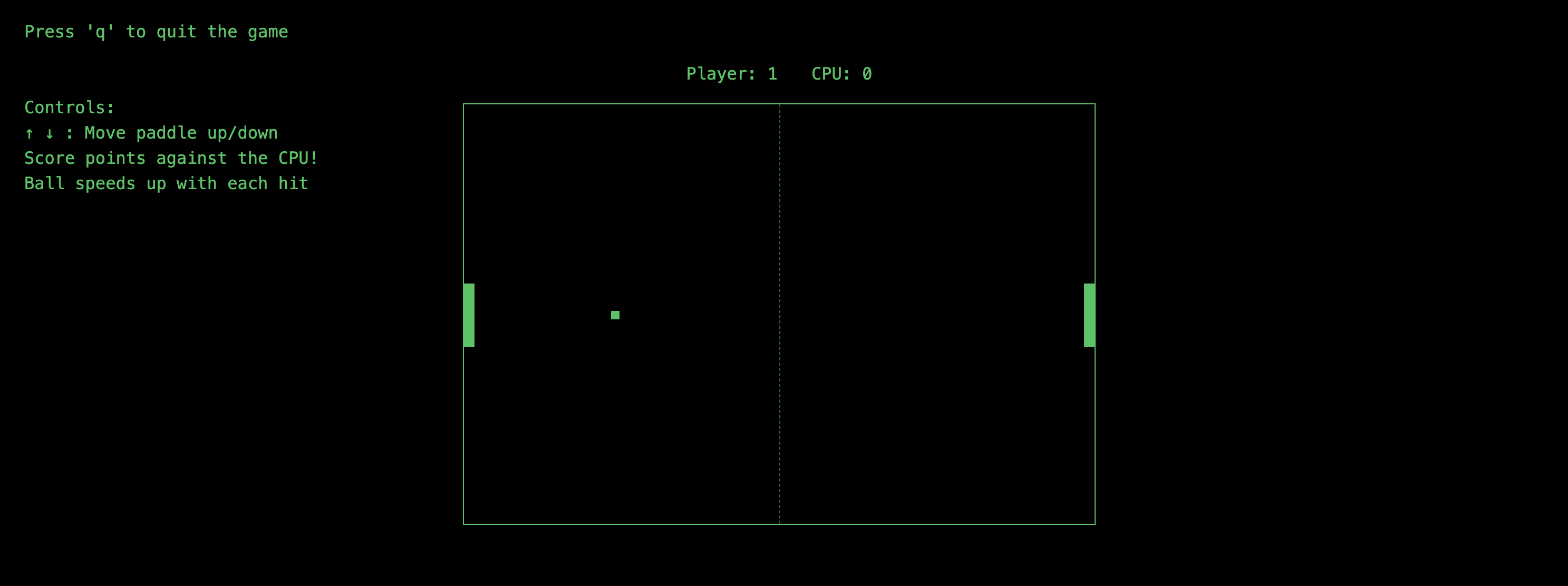 Pong Game